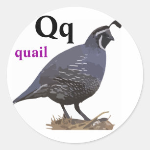 Quailklistermärkear för brev Q Runt Klistermärke