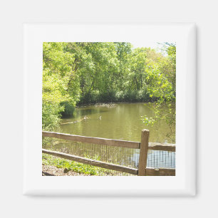 quaint bridge magnet