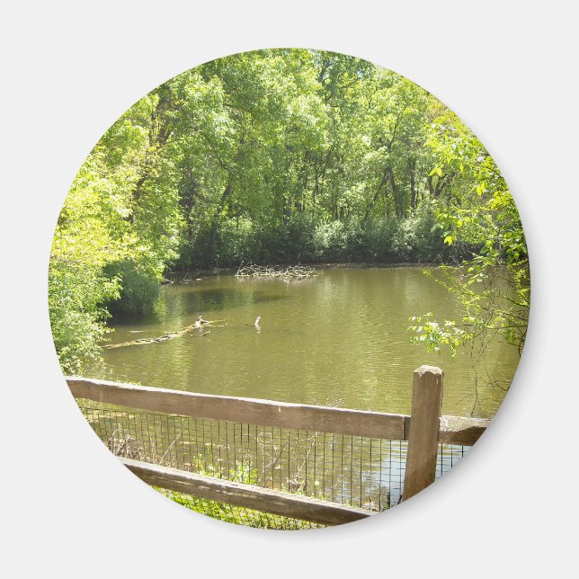 quaint-bro magnet (Framsidan)