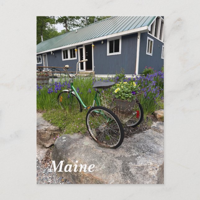 Quaint Maine backwood Helg Vykort (Framsida)