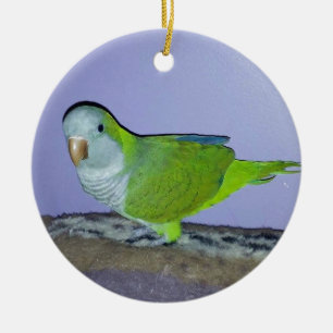Quaker Parrot Julgransprydnad Keramik