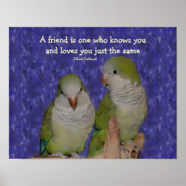 Quaker Parrot Pair Vänskap Quote Poster