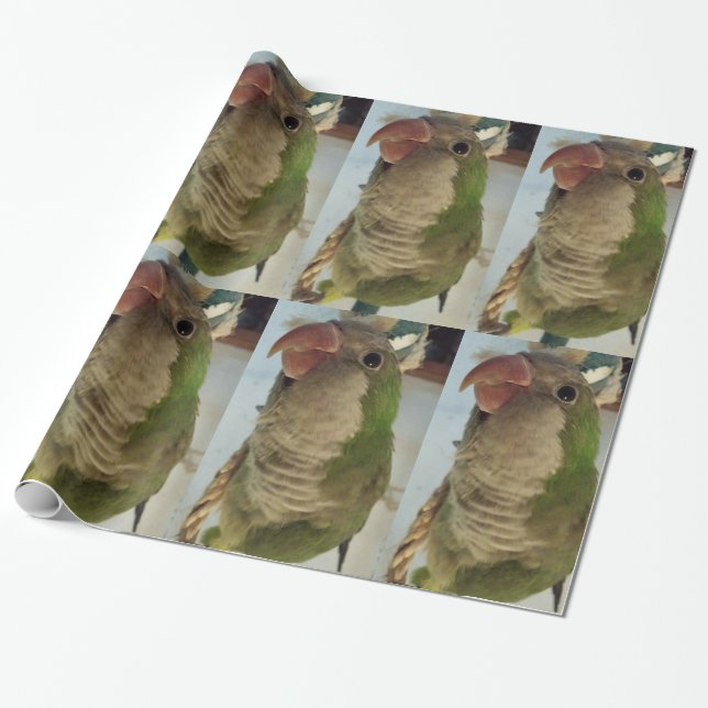 Quaker Parrot Wrapping Papper Presentpapper (Utrullad)