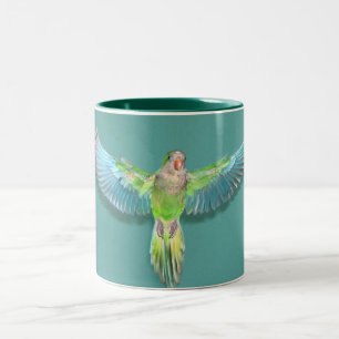 Quakerflygmugg 15oz Två-Tonad mugg