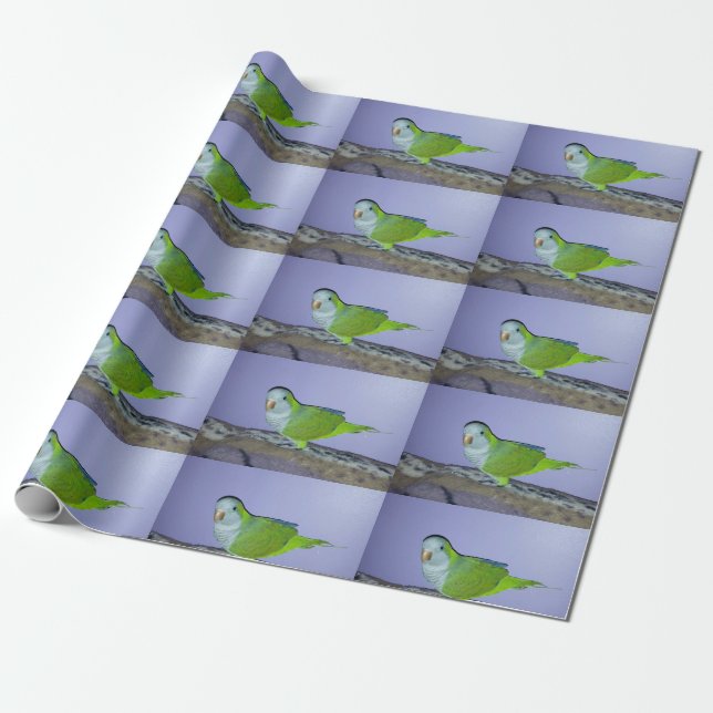 Quakerpapegojpapper Presentpapper (Utrullad)