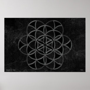 Qualia Poster