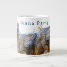 Quana-fest?