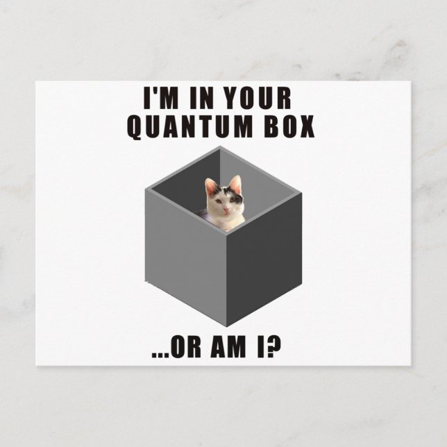 Quantum Cat Vykort (Framsida)