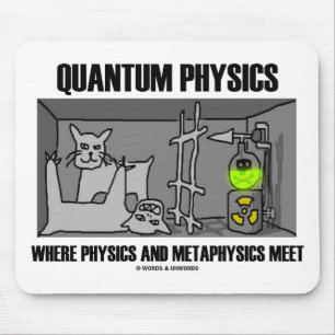 Quantum fysik var fysiken och metafysik möter musmatta