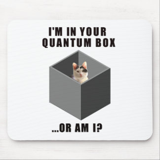 Quantum katt musmatta