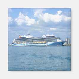 Quantum Maneuvers Canaveral Magnet