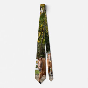 Quarter Horse Herrkrage Slips