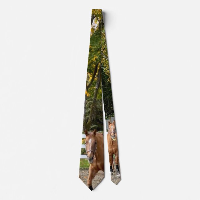 Quarter Horse Herrkrage Slips (Framsida)