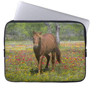 Quarter Horse i fält med vilda blommor Laptop Fodral