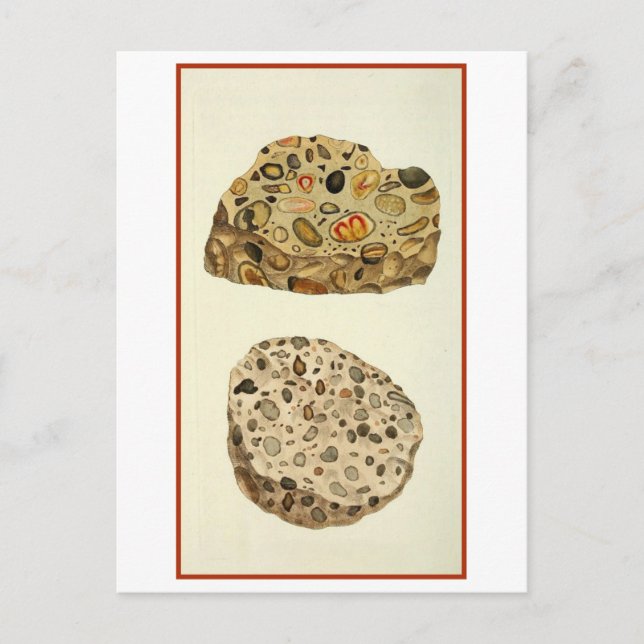 Quartzose Pudding Stone Mineralogy Illustration Vykort (Framsida)