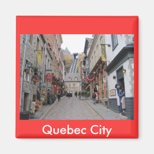 Quebec City gata Magnet