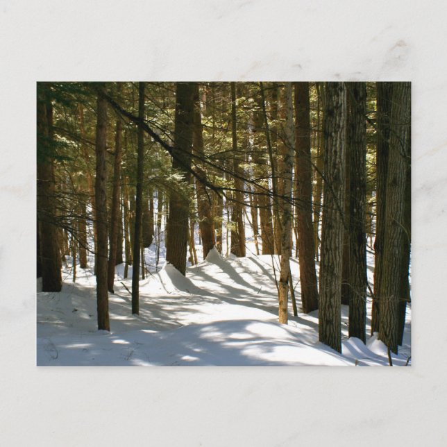 Quechee, VT Vykort (Framsida)