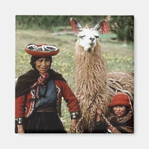 Quechua kvinna med fotoet för två Llamas Magnet