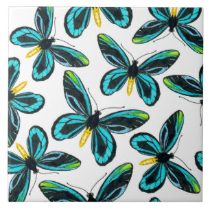 Queen Alexandra's birdwing butterfly mönster Kakelplatta