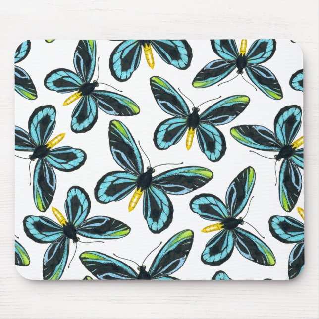 Queen Alexandra's birdwing butterfly mönster Musmatta (Framsidan)