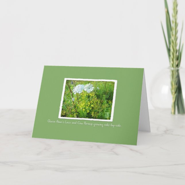 Queen Anne's Snöre & Cow Parsnip Card på Grönten Kort (Framsida)