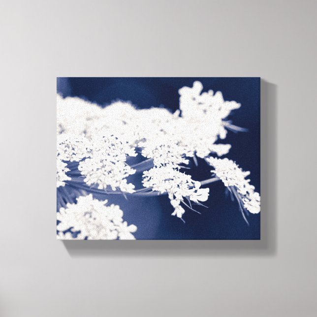 Queen Anne's Snöre Flowers Wrapped Canvas (Framsida)