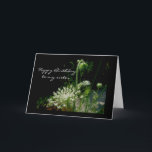 Queen Anne's Snöre Grattis på födelsedagen Sister  Kort<br><div class="desc">Drottning Anne's Snöre heter ogräs, men det är ett vackert ogräs. Den växer i slösat områden, ängar, fält - var som helst finns det ljusa sol. Det ger skönhet åt vägkanterna och överlever i prövningsförhållanden. Jag tänka den här anläggningen är en trevlig representant för alla systrar där ute som ger...</div>