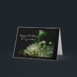 Queen Anne's Snöre Grattis på födelsedagen Sister  Kort<br><div class="desc">Drottning Anne's Snöre heter ogräs, men det är ett vackert ogräs. Den växer i slösat områden, ängar, fält - var som helst finns det ljusa sol. Det ger skönhet åt vägkanterna och överlever i prövningsförhållanden. Jag tänka den här anläggningen är en trevlig representant för alla systrar där ute som ger...</div>