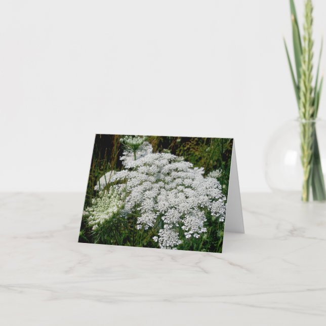Queen Anne's Snöre Note Card Helgkort (Framsida)