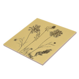 Queen Anne's Snöre på en keramik Tile (Gult B) Kakelplatta