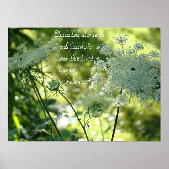 Queen Anne's Snöre poster (Framsidan)