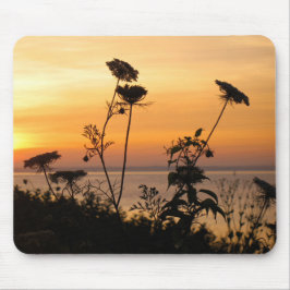 Queen Anne's Snöre vid Sunset - Fishers Island, NY Musmatta