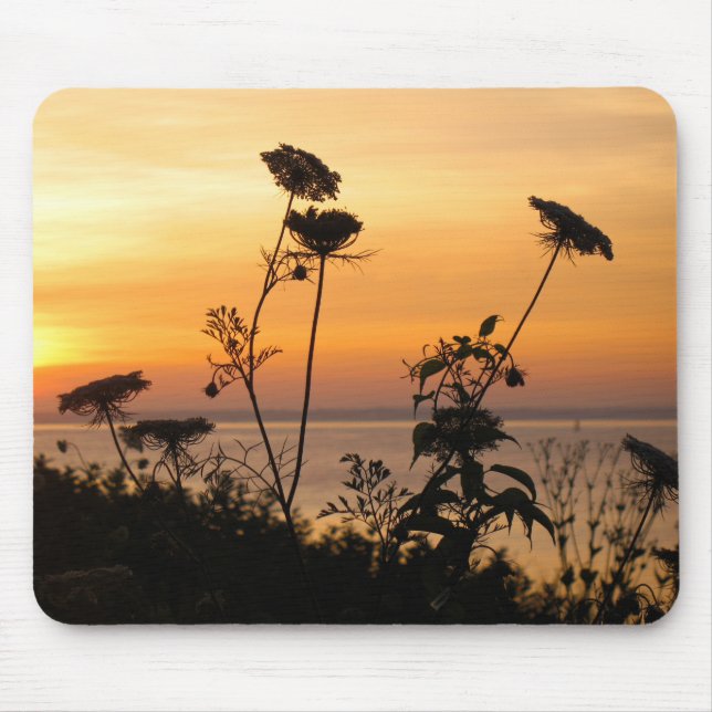 Queen Anne's Snöre vid Sunset - Fishers Island, NY Musmatta (Framsidan)