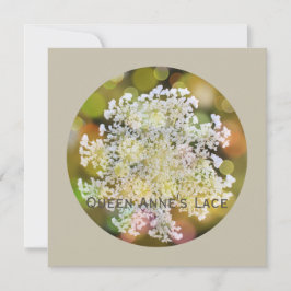 Queen Anne's Snöre Vild Flora om korallrevet Julkort