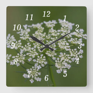 Queen Anne's Snöre Wall Clock Fyrkantig Klocka