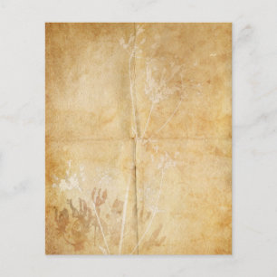 Queen Anne's Snöre Watercolor Parchment