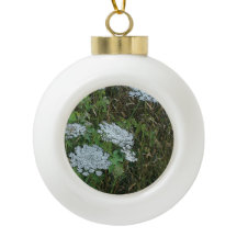 Queen Anne's Snöre White Vild Flower