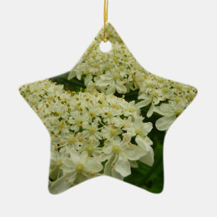 Queen Anne's Snöre Wildblomfoto Julgransprydnad Keramik