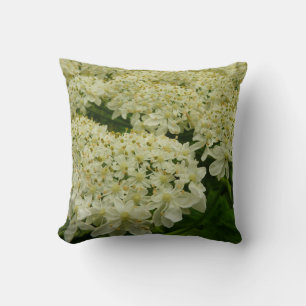 Queen Anne's Snöre Wildblomfoto Kudde