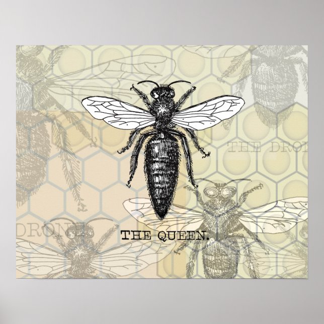 Queen Bee Illustration Bug Insect Poster (Framsidan)