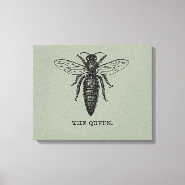 Queen Bee Illustration Classic Teckning Canvastryck (Framsida)