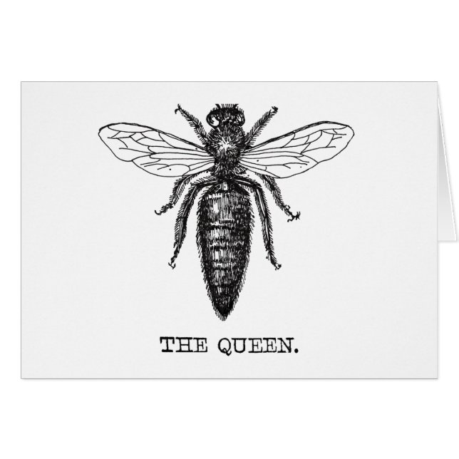 Queen Bee Illustration Classic Teckning Hälsningskort (Framsidan Horizontal)