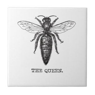 Queen Bee Illustration Classic Teckning Kakelplatta