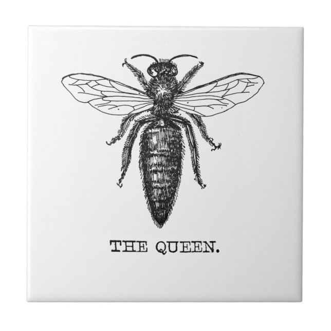 Queen Bee Illustration Classic Teckning Kakelplatta (Framsidan)