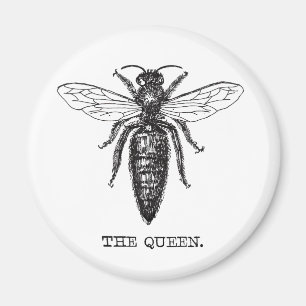 Queen Bee Illustration Classic Teckning Magnet