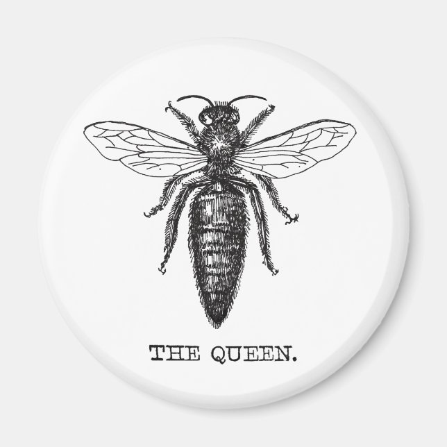 Queen Bee Illustration Classic Teckning Magnet (Framsidan)