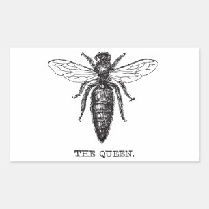 Queen Bee Illustration Classic Teckning Rektangulärt Klistermärke