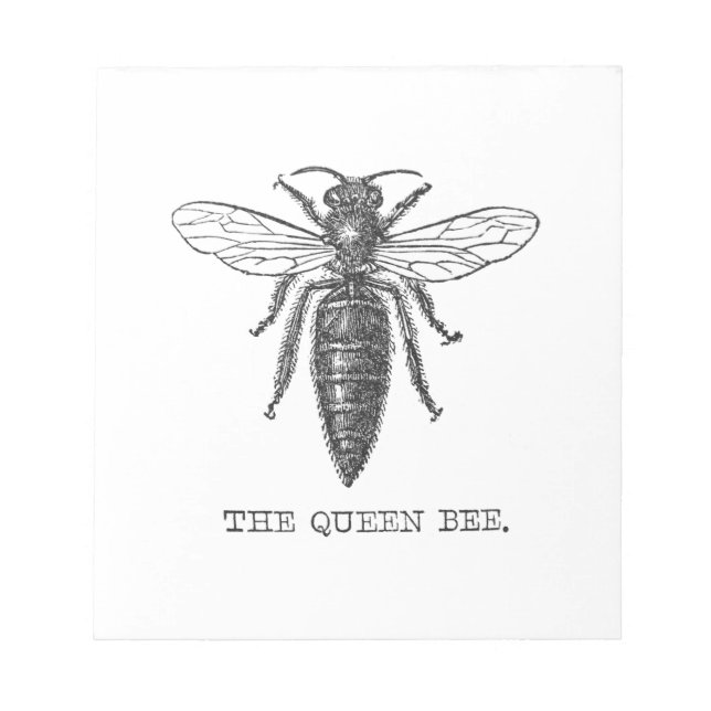 Queen Bee Illustration Kryp Insekt Anteckningsblock (Framsida)