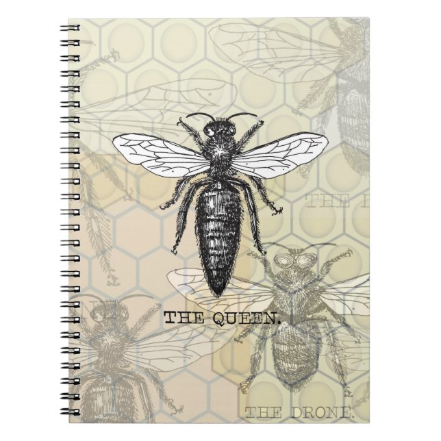 Queen Bee Illustration Kryp Insekt Anteckningsbok Med Spiral (Framsidan)