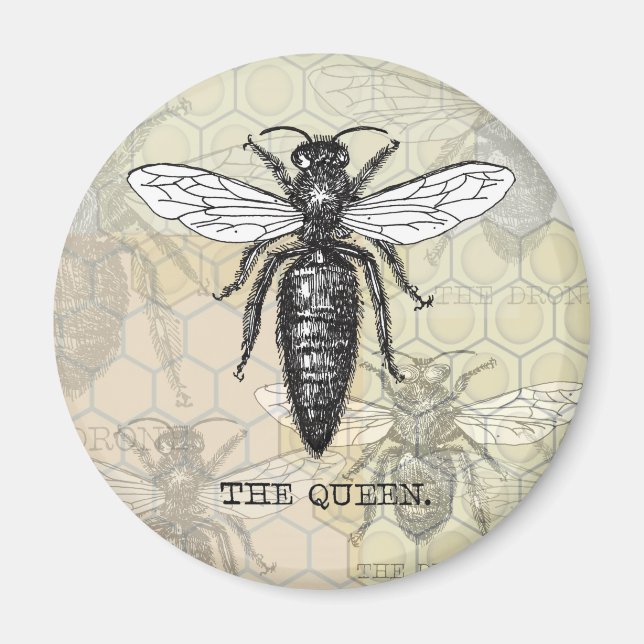 Queen Bee Illustration Kryp Insekt Magnet (Framsidan)